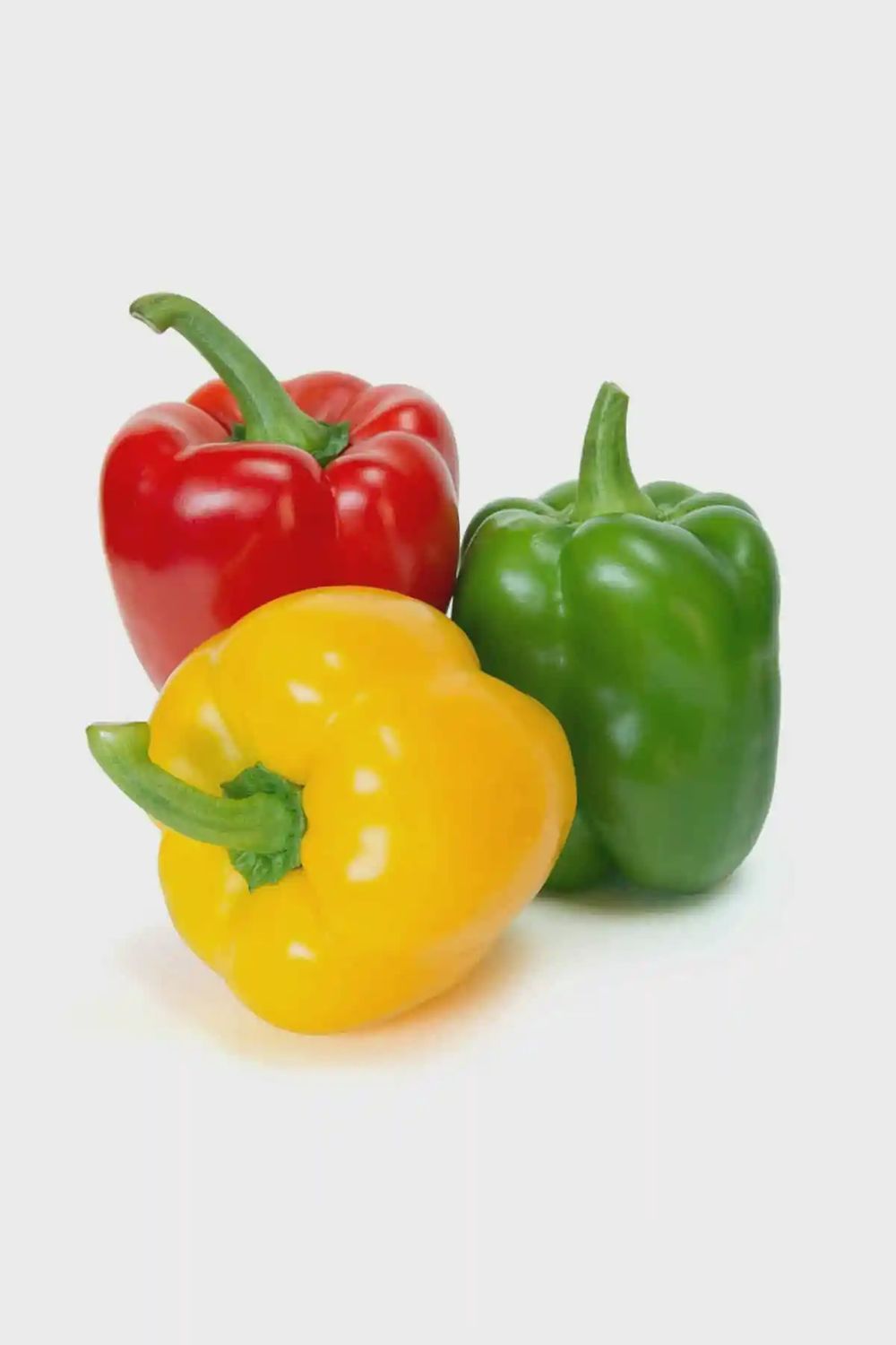 Bell Pepper / LB