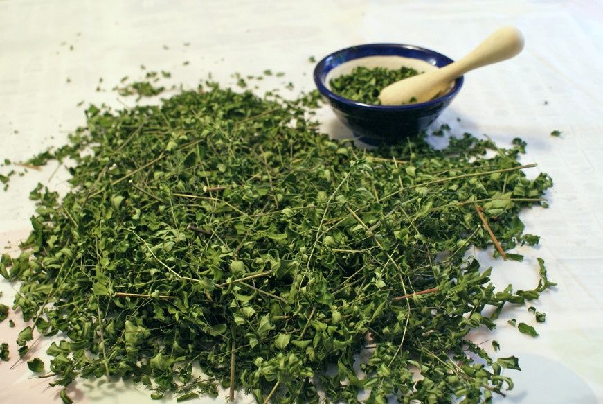 Moringa Dry  Crushed