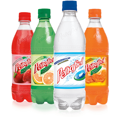 Penafiel Drink (600ml)