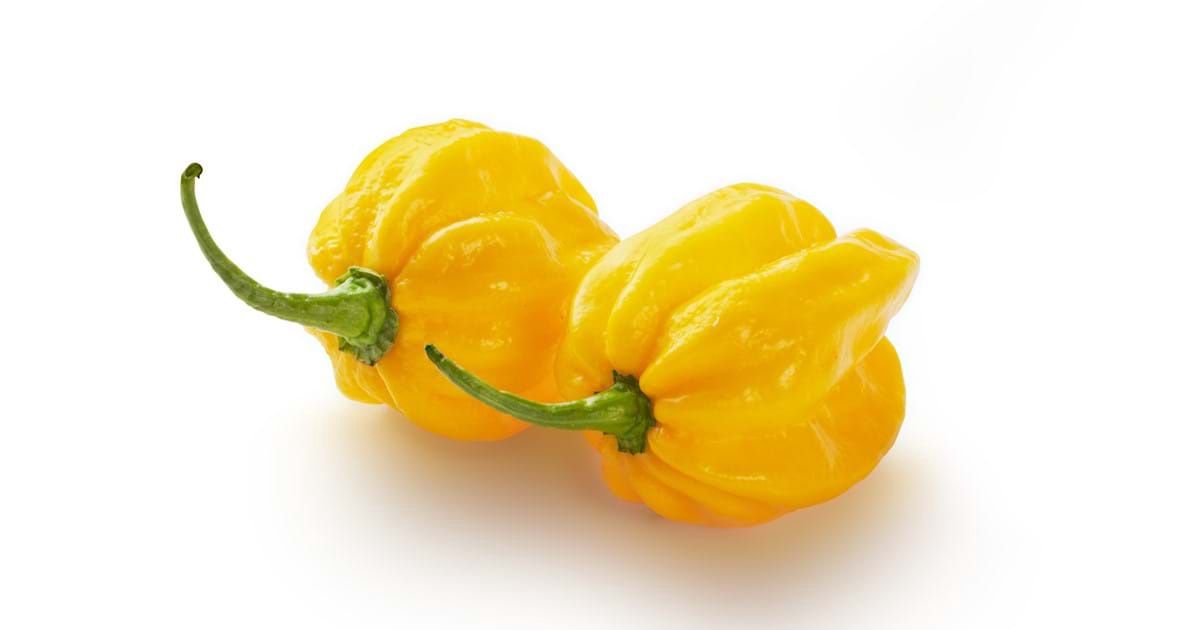 Fresh Habanero