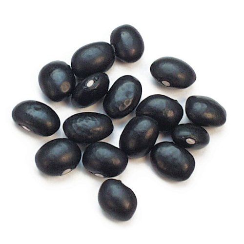 Dry Beans