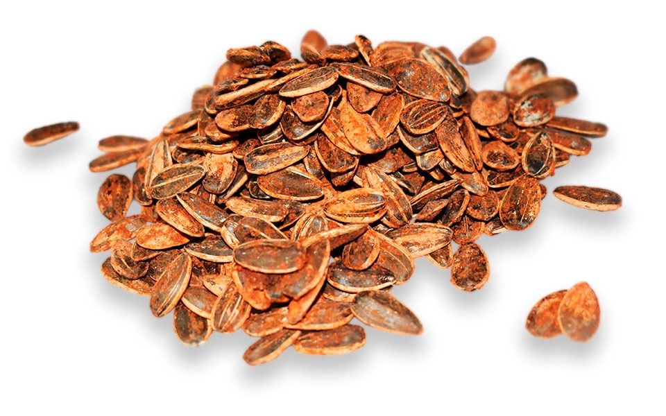 Semilla con Chile (100g)