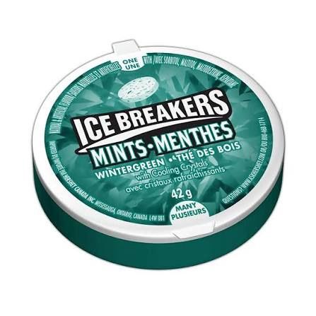 Ice Breakers Mints  Wintergreen (42 g)