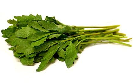 Fresh Epazote Bunch