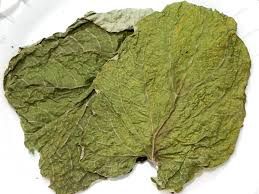 Hoja Santa (1lb)