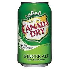 Ginger Ale Canada Dry Can, kind: Regular