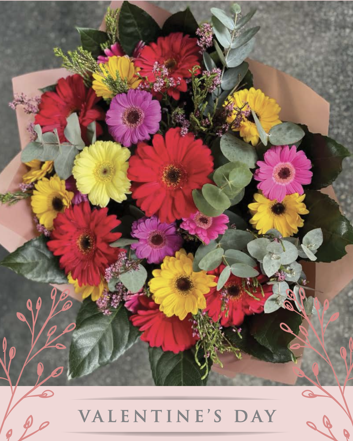 Barberton Daisies Bunch