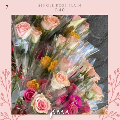 Single Rose Plain