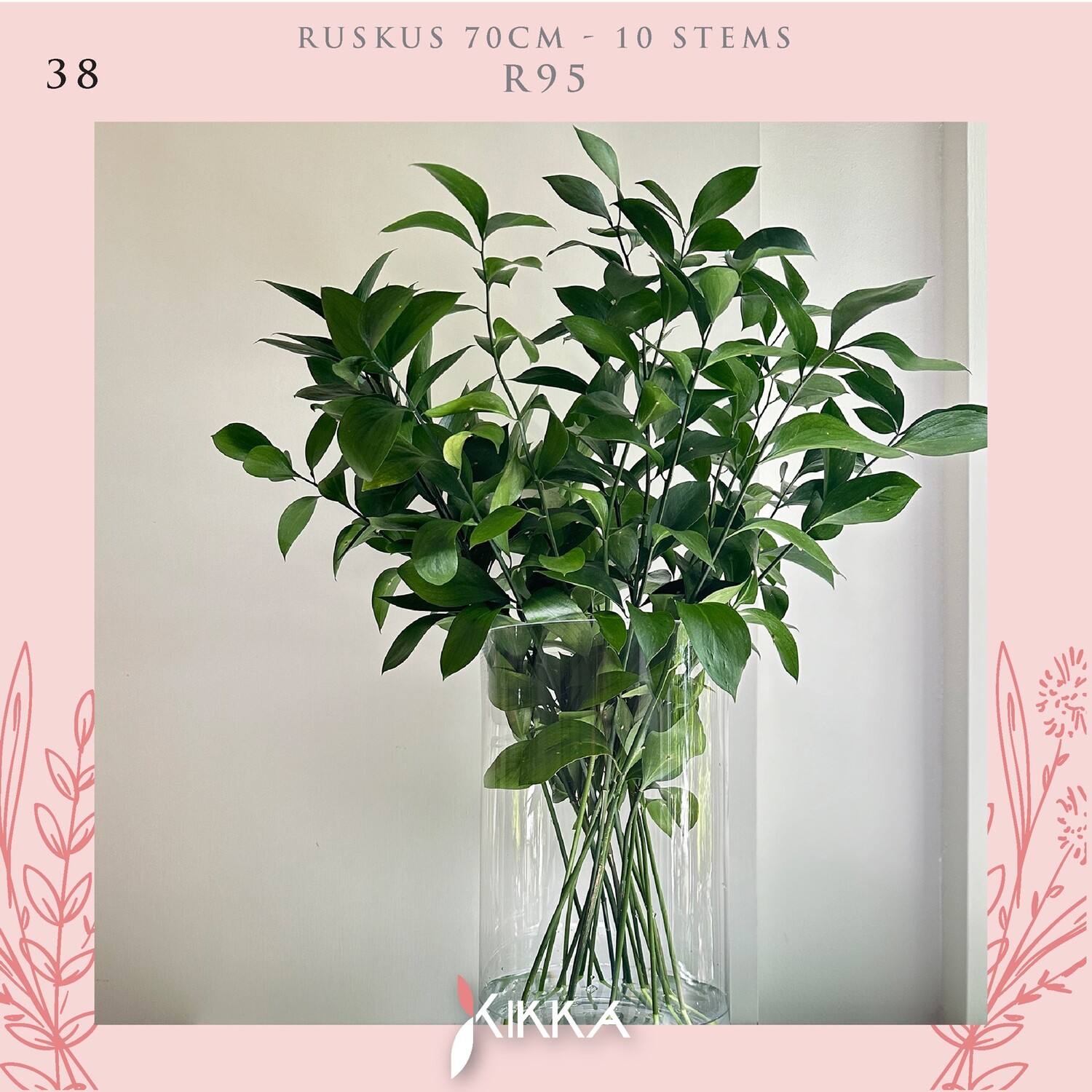 Ruscus 70 cm - 10 Stems
