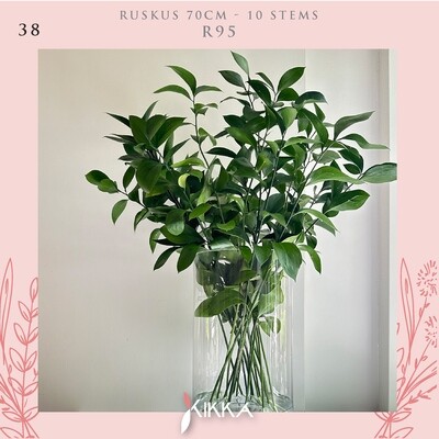 Ruscus 70 cm - 10 Stems