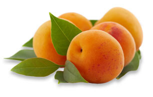 Apricot Green Tea / 5 grams of Full Leaf Tea per Pouch