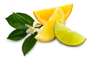 Citron Green Full Leaf Tea  Pouches 20 Grams pf tea per pouch