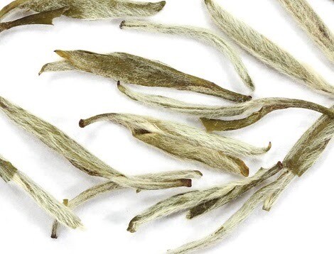 Jasmine Silver Needle White Tea Pouches with 5 grams of Tea each