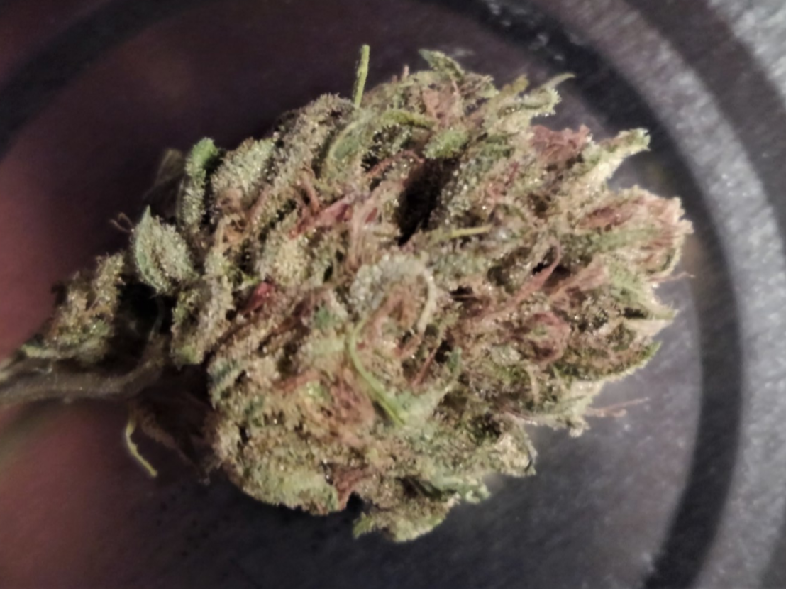 Working Mom (Special Ed Seeds)