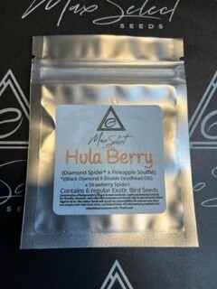 Hula Berry (New! Pineapple Line)
