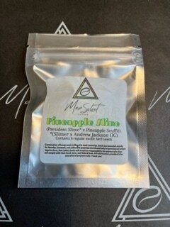 Pineapple Slime (New! Pineapple Line)