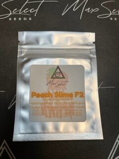 Peach Slime F2 (New! Peach Line)