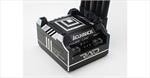 Acuvance RAD / Black  -60688