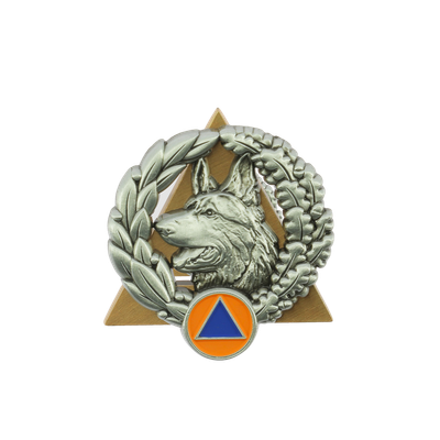Equipes spécialisées (CYNO, SMPM, USAR...)