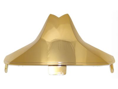 Plaque attribut dorée lisse F1XF MSA