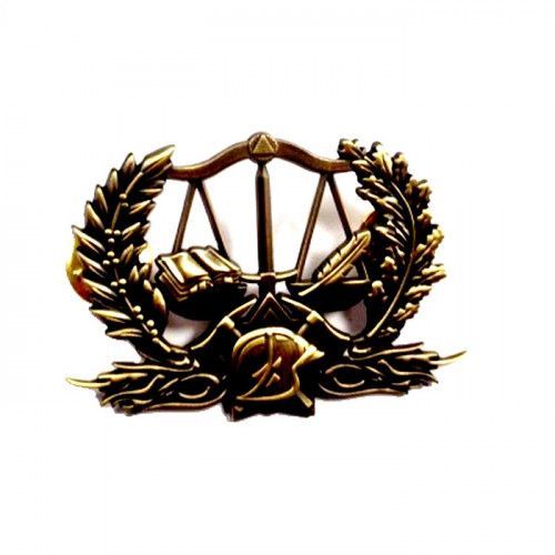 Insigne métal préventionniste sapeurs-pompiers PRV1 BRONZE