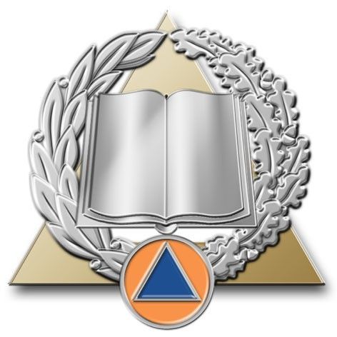 Insigne sécurité civile / sapeurs-pompiers activités de formation et développement des compétences Argent