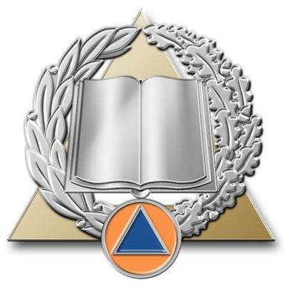 Insigne sécurité civile / sapeurs-pompiers activités de formation et développement des compétences Argent