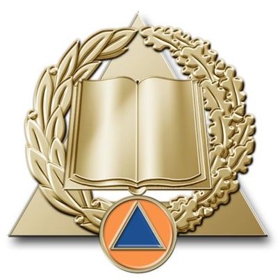 Insigne sécurité civile / sapeurs-pompiers activités de formation et développement des compétences Bronze