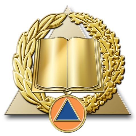 Insigne sécurité civile / sapeurs-pompiers activités de formation et développement des compétences OR