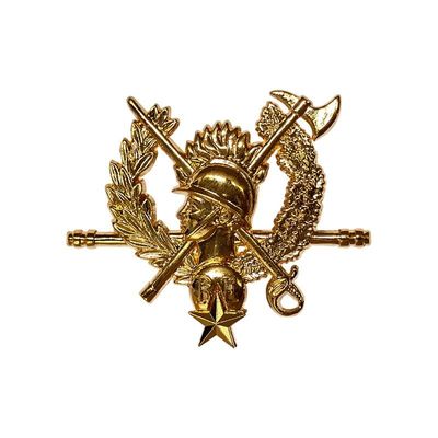 Insigne sécurité civile / sapeurs-pompiers chef de corps départemental OR