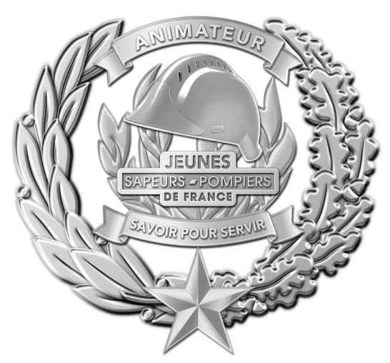 Insigne animateur JSP jeunes sapeurs-pompiers Echelon ARGENT