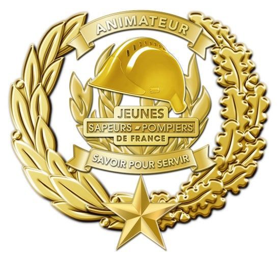 Insigne animateur JSP jeunes sapeurs-pompiers Echelon OR