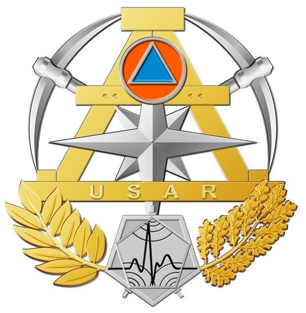 Insigne sécurité civile / sapeurs-pompiers  USAR OR