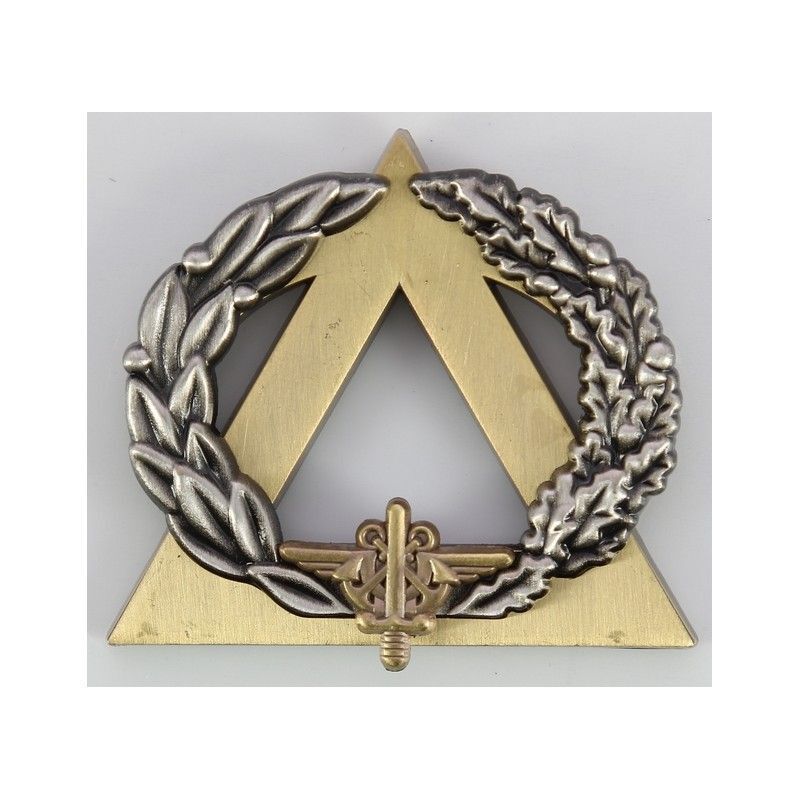 Insigne Métal Brevet Instructeur Secouriste Bronze - Titulaire