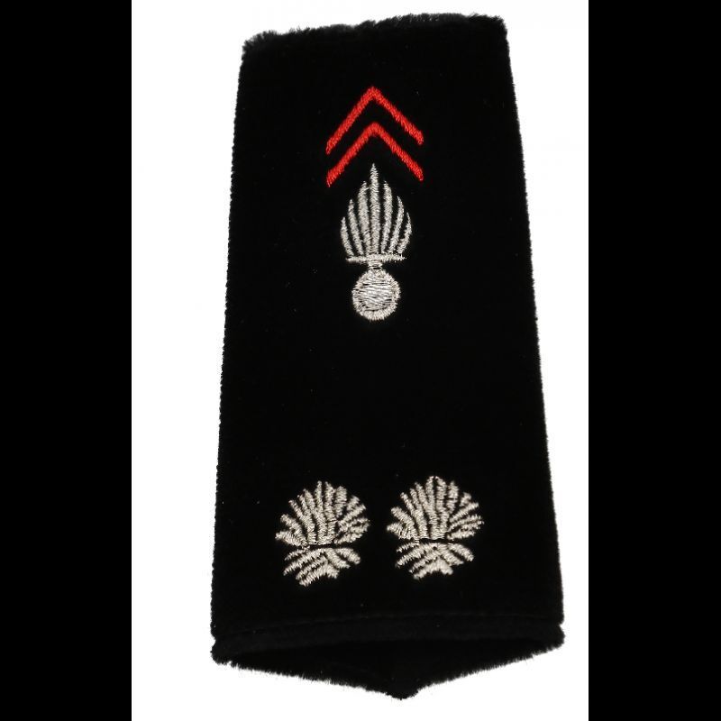 Paire de fourreaux contrôleur général 2 bûchers sapeurs-pompiers