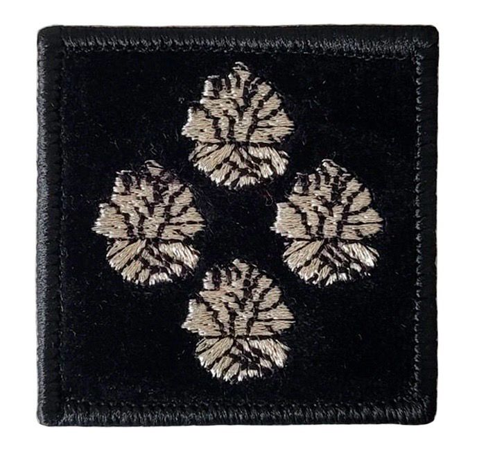 Grade / galon contrôleur général 4 bûchers sapeurs-pompiers velours BG-SAFETY