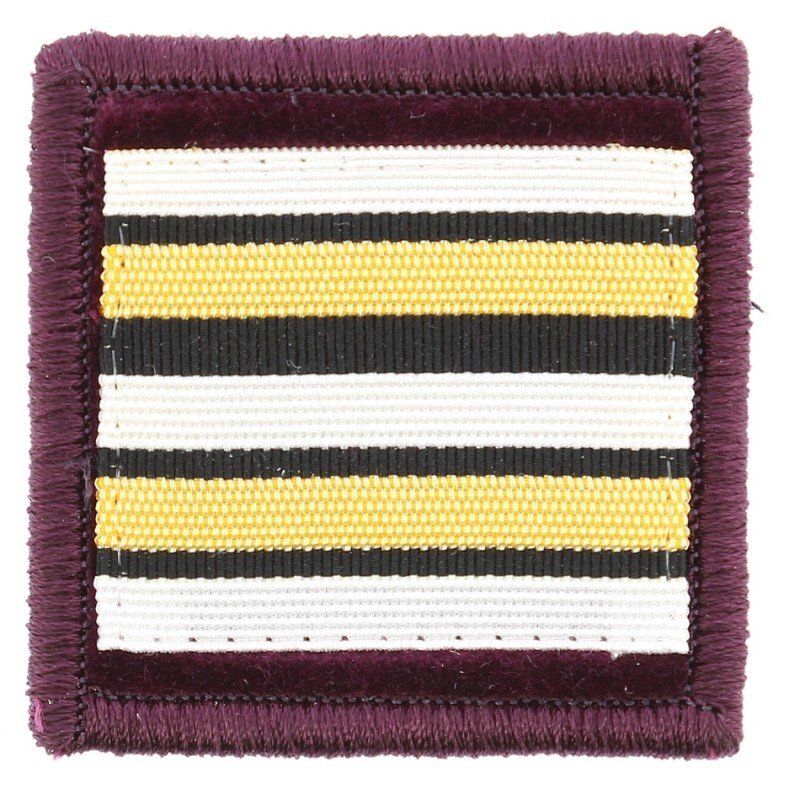 Grade / galon lieutenant-colonel vétérinaire sapeurs-pompiers velours