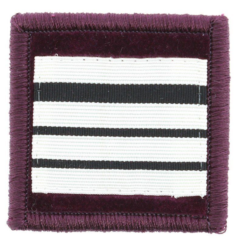 Grade / galon commandant vétérinaire sapeurs-pompiers velours