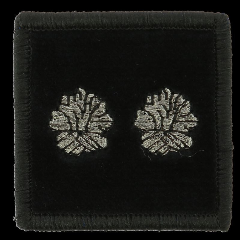 Grade / galon contrôleur général 2 bûchers sapeurs-pompiers velours