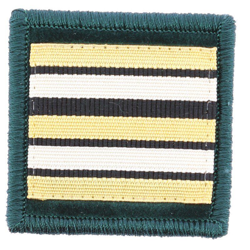 Grade / galon lieutenant-colonel pharmacien sapeurs-pompiers velours