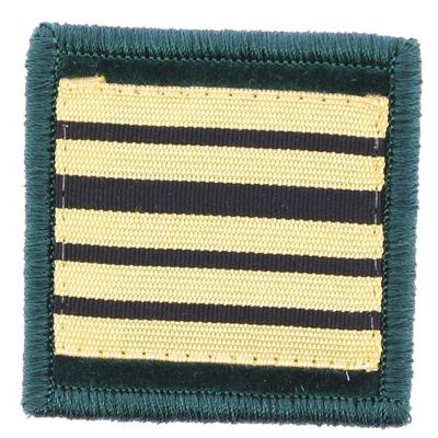 Grade / galon colonel pharmacien sapeurs-pompiers velours