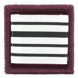 Grade / galon colonel vétérinaire sapeurs-pompiers velours