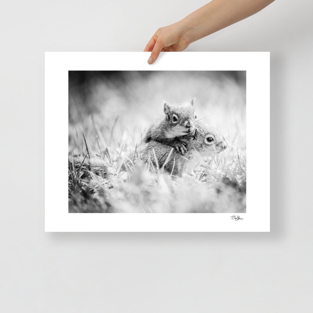 Hugging Squirrels Photo