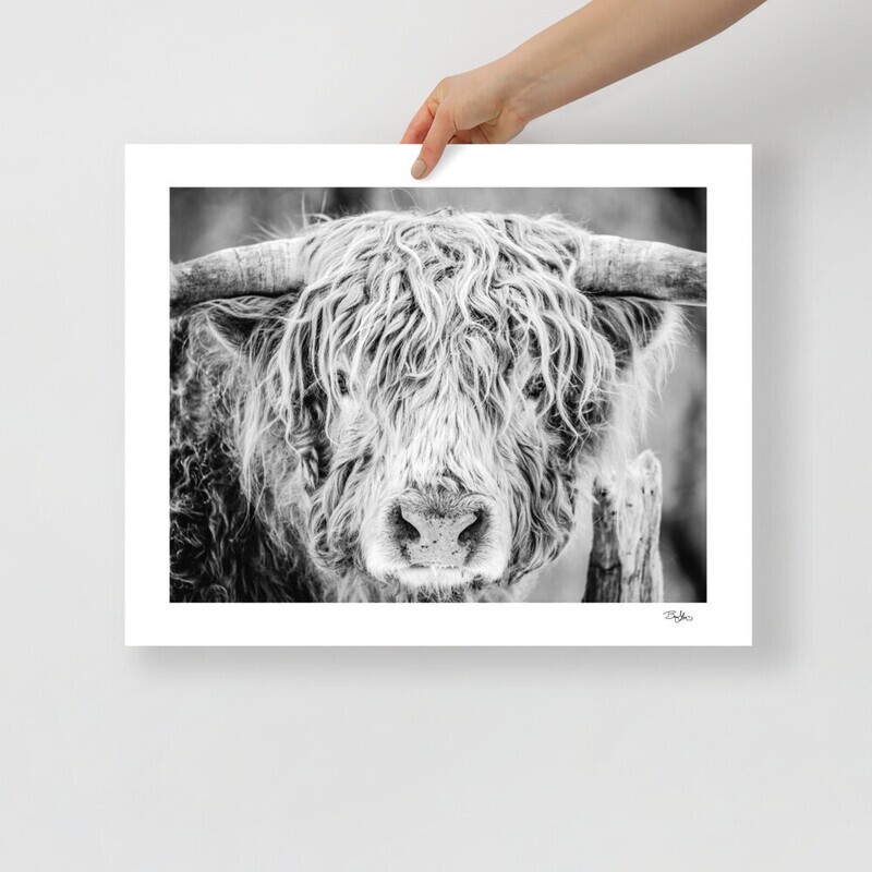 Fine Art Prints