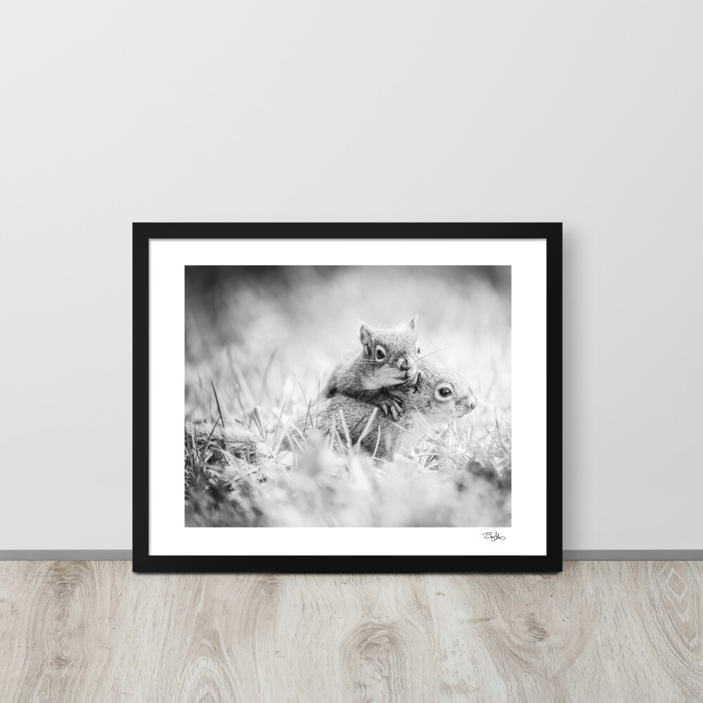 Hugging Squirrels Framed Print
