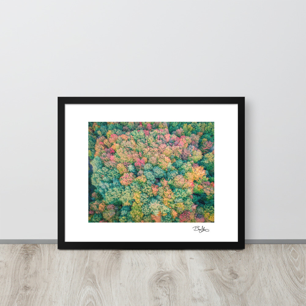 New York Foliage Framed Print