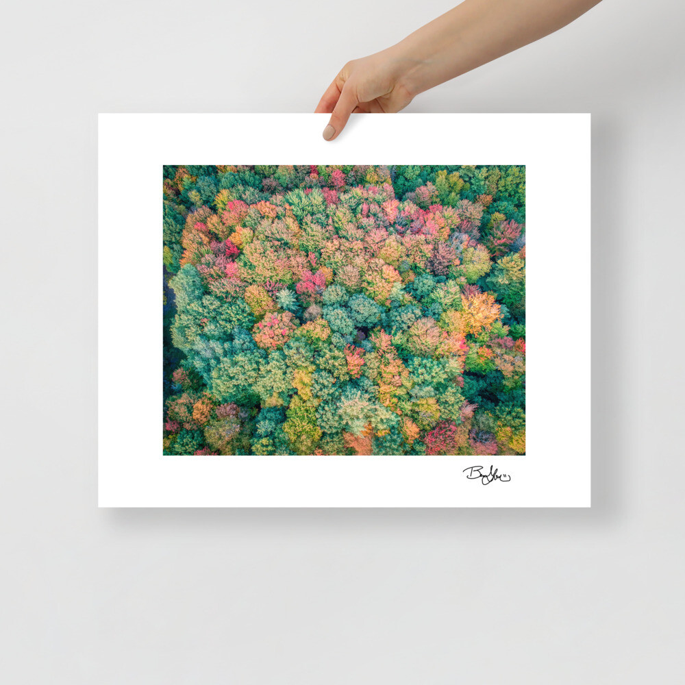 New York Foliage Print