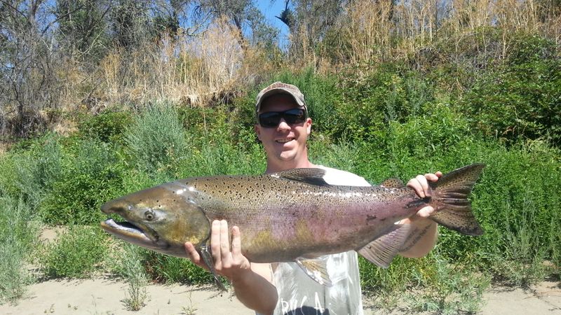 Flow Spin Fishing Rod