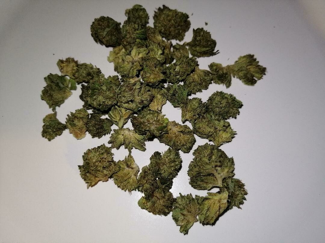 Kush #1 Minis 1g