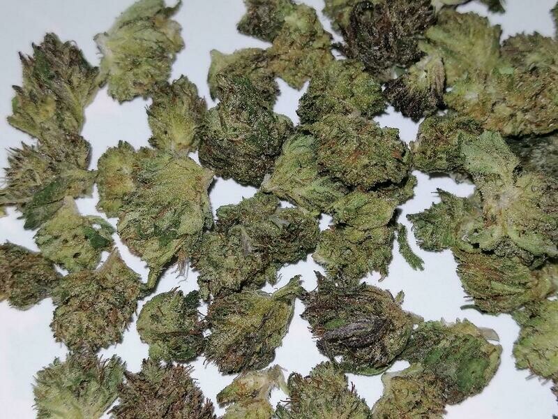 Sissy Q Minis 1g